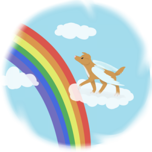 a rainbow bridge greeting